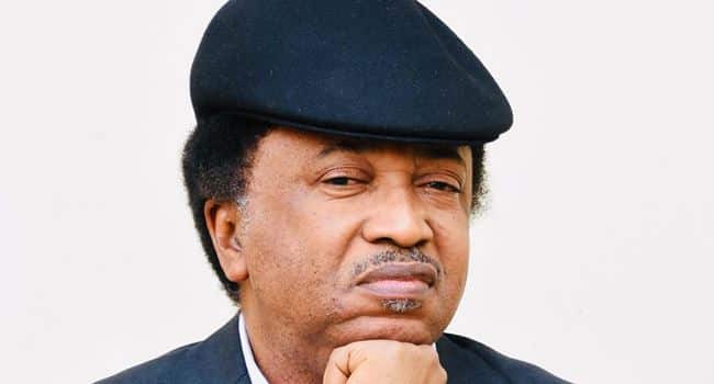 Shehu Sani