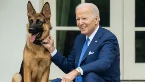 Biden